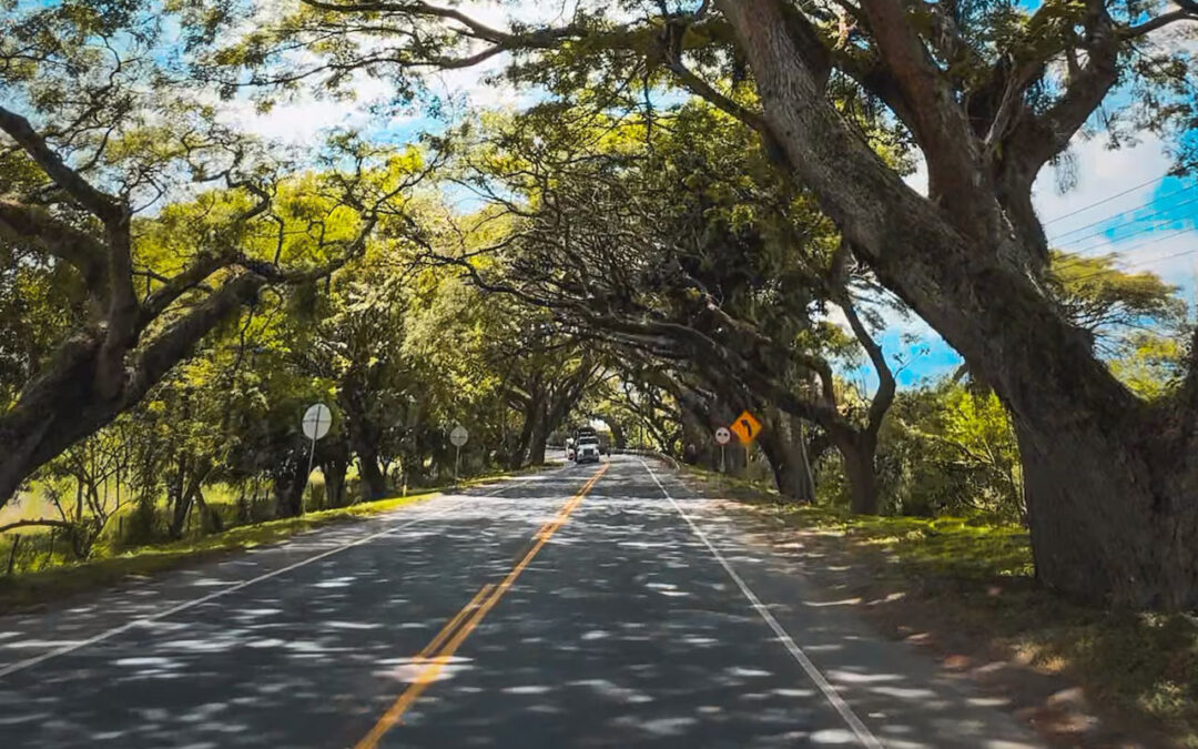 Unidad Funcional 21 (Corredor Verde)