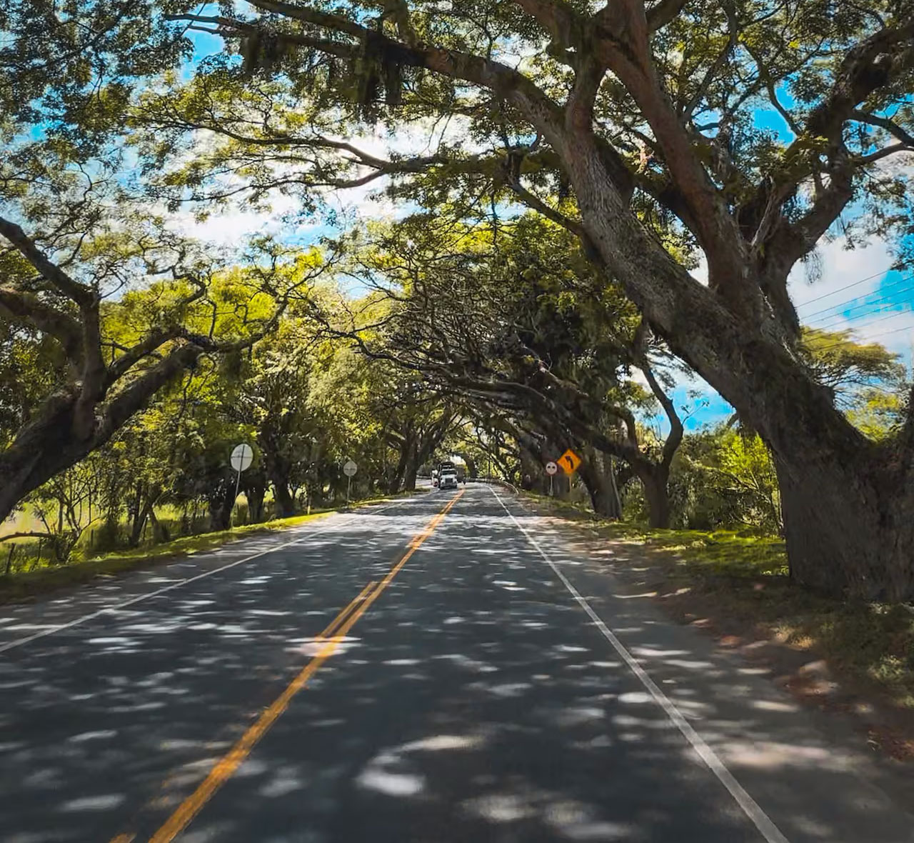 Unidad Funcional 21 (Corredor Verde)