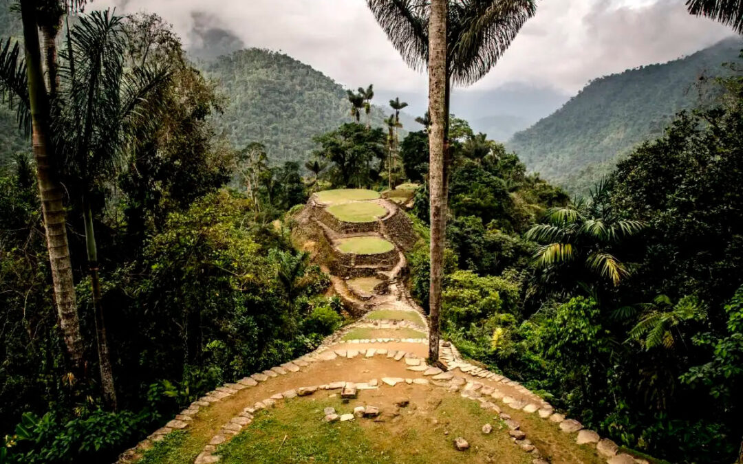 Parques Nacionales en Colombia han perdido 125.745 hectáreas por deforestación