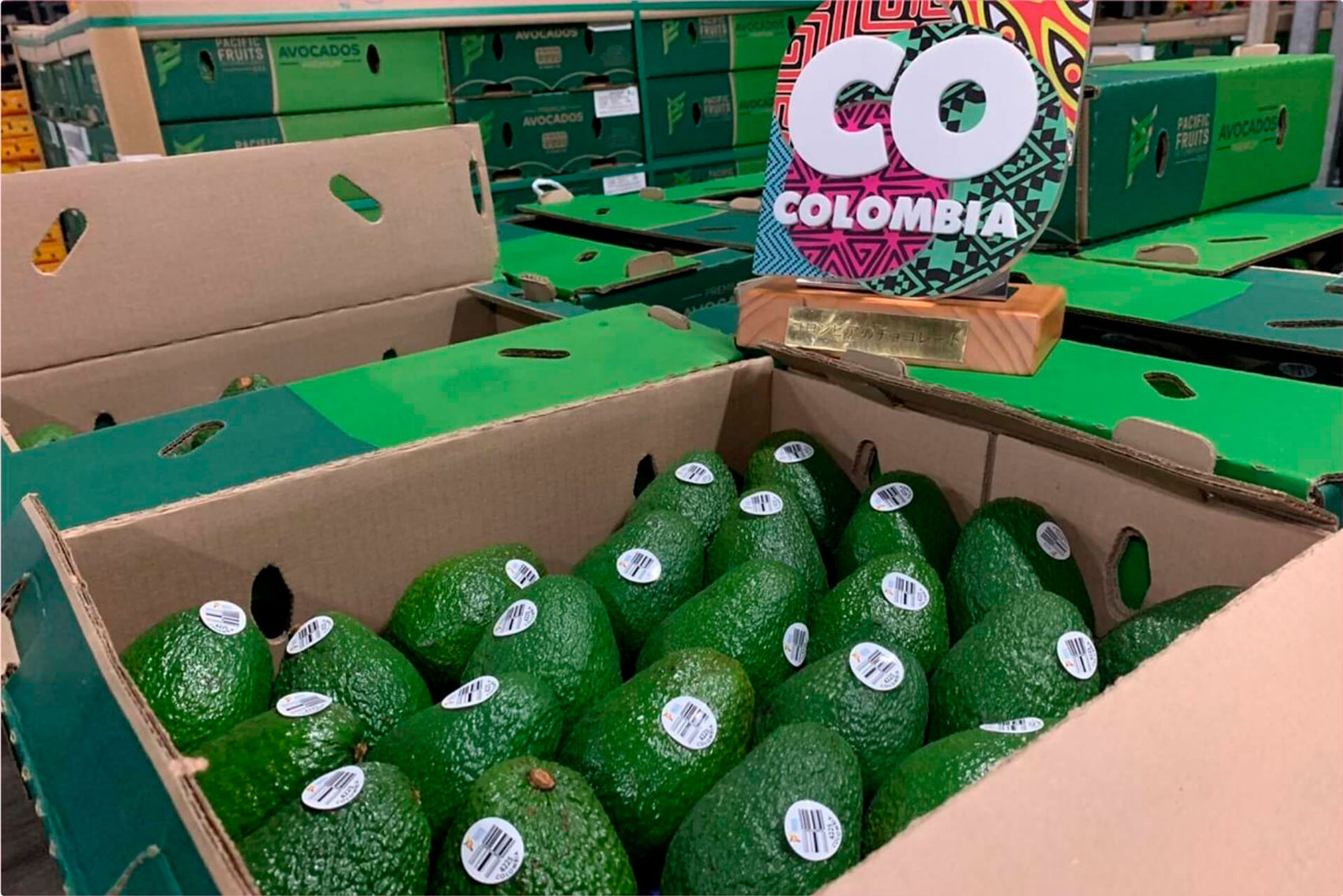 Petro insiste en renegociar el TLC con Estados Unidos y genera debate en sectores económicos