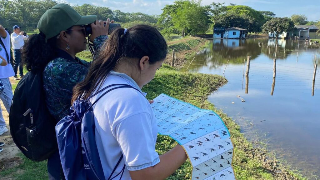 EL CAMINO DE LAS AVES. Estrategia socioambiental para la educación y conservación en el Valle del Cauca, liderada por la Unión Vial Camino del Pacífico.