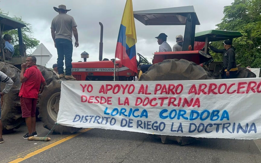 Paro arrocero en Colombia inicia en ocho departamentos con exigencias por precios y apoyo estatal